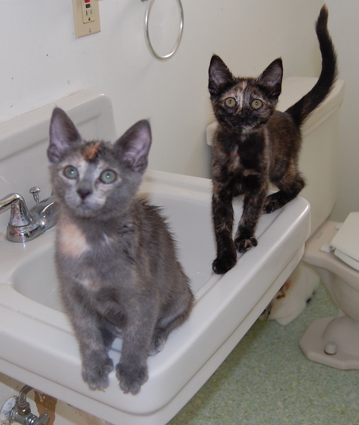 We help mom put on her makeup