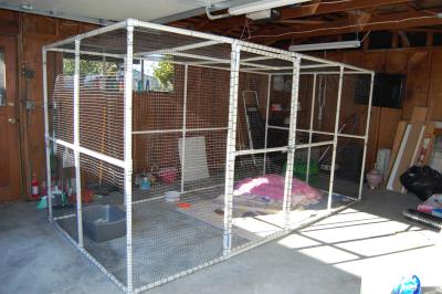 An Easy to build Indoor Cat Enclosure